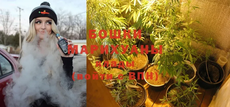 МАРИХУАНА Ganja  Грайворон 